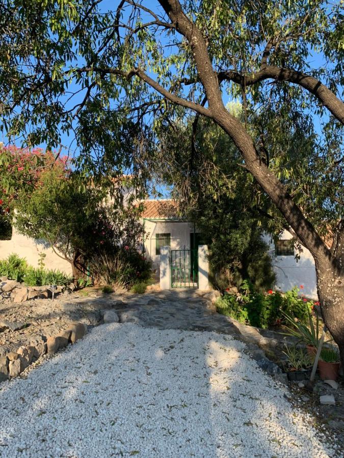 Casa Anita - La Almona Chica Guest House Ел Чоро Екстериор снимка