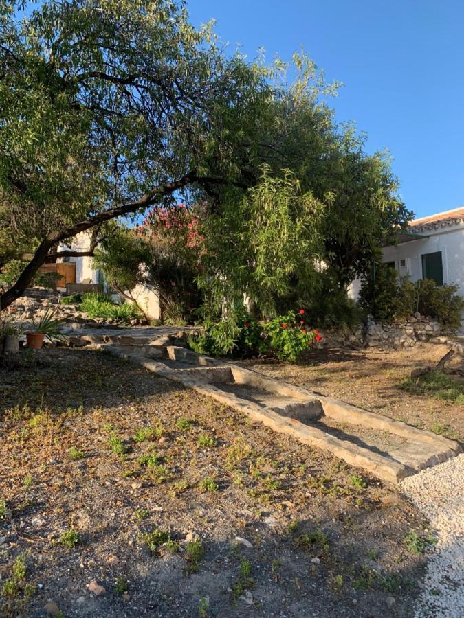 Casa Anita - La Almona Chica Guest House Ел Чоро Екстериор снимка