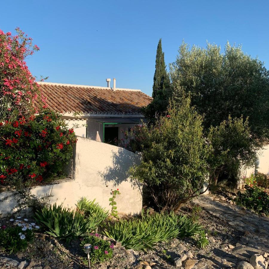 Casa Anita - La Almona Chica Guest House Ел Чоро Екстериор снимка