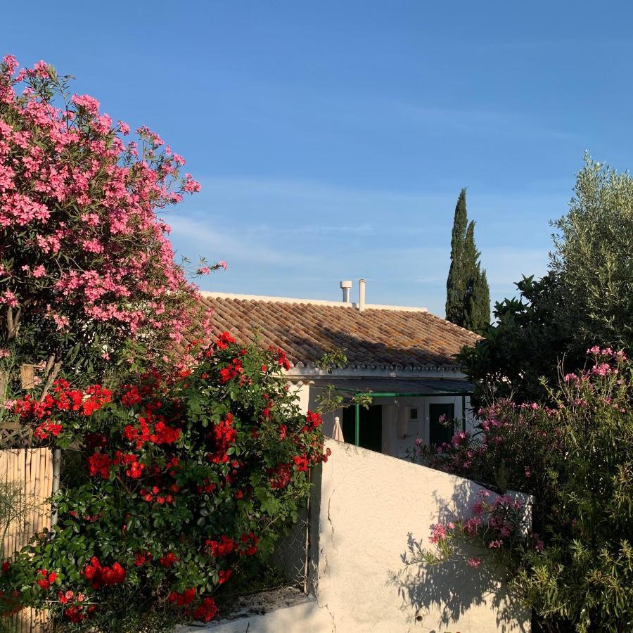 Casa Anita - La Almona Chica Guest House Ел Чоро Екстериор снимка