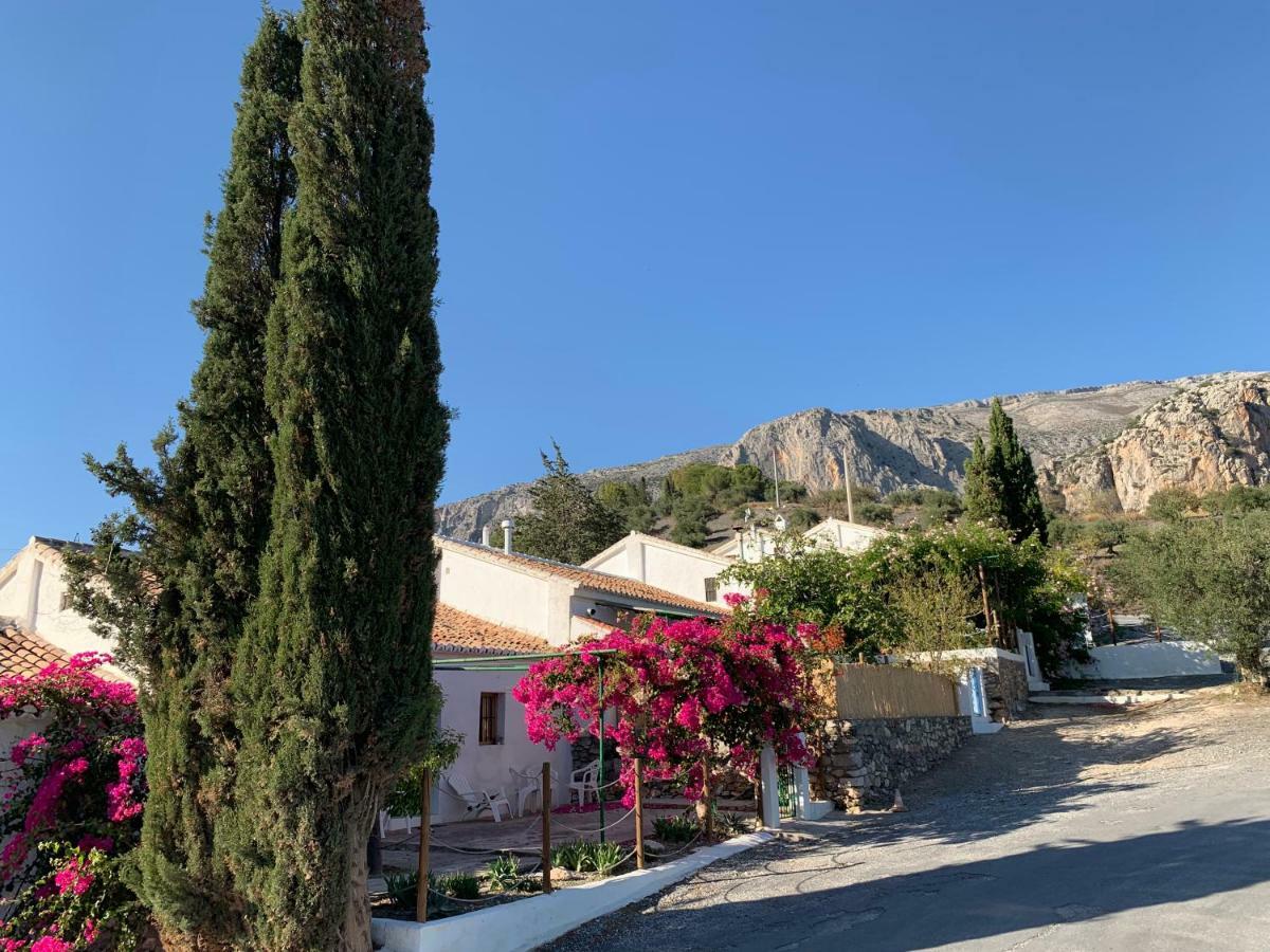 Casa Anita - La Almona Chica Guest House Ел Чоро Екстериор снимка