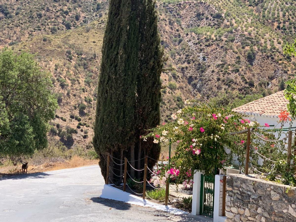 Casa Anita - La Almona Chica Guest House Ел Чоро Екстериор снимка